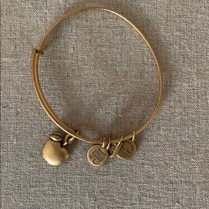 Alex and Ani Apple charm bracelet. NWOT